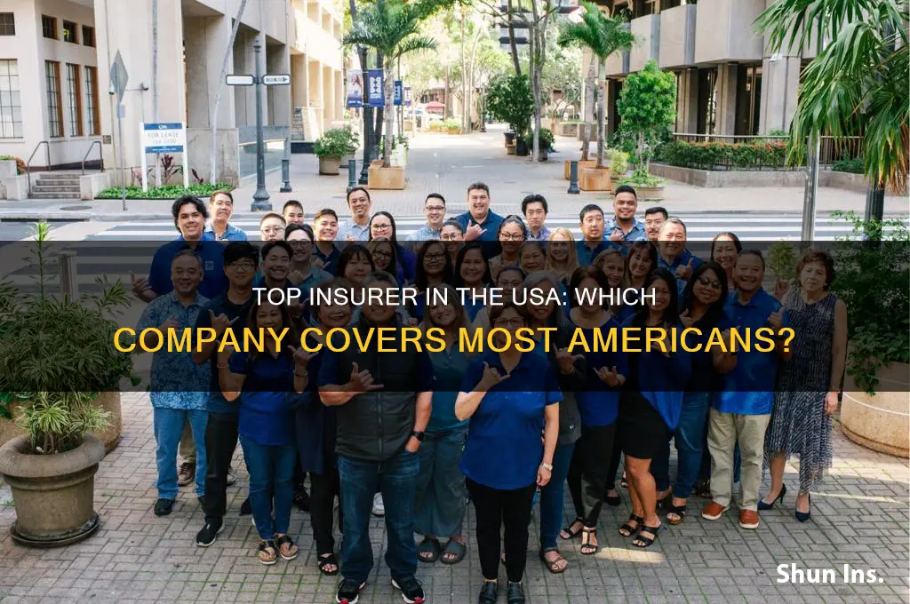 which company insure most of the public in the usa