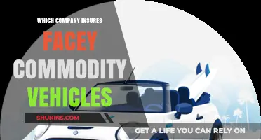 Who Insures Facey Commodity Vehicles? Top Companies Revealed