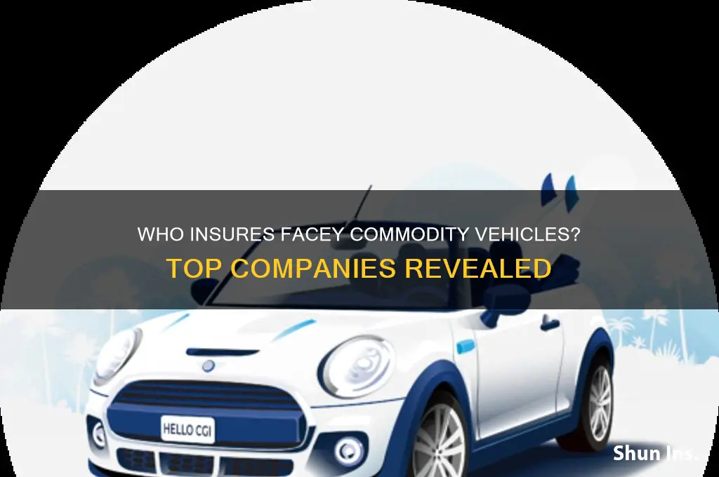 which company insures facey commodity vehicles