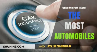 Top Auto Insurer: Which Company Covers the Most Vehicles?