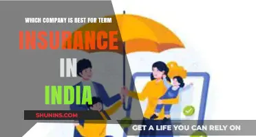 Top Term Insurance Providers in India: A Comprehensive Comparison Guide