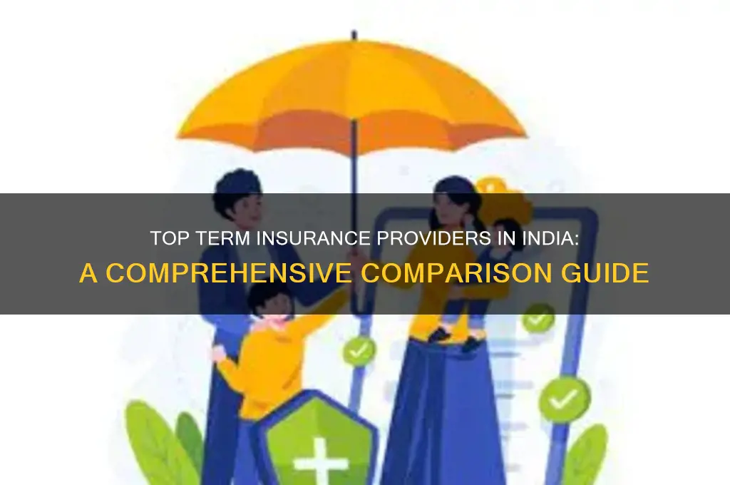 which company is best for term insurance in india