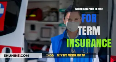Top Term Insurance Providers: A Comprehensive Comparison for Your Needs