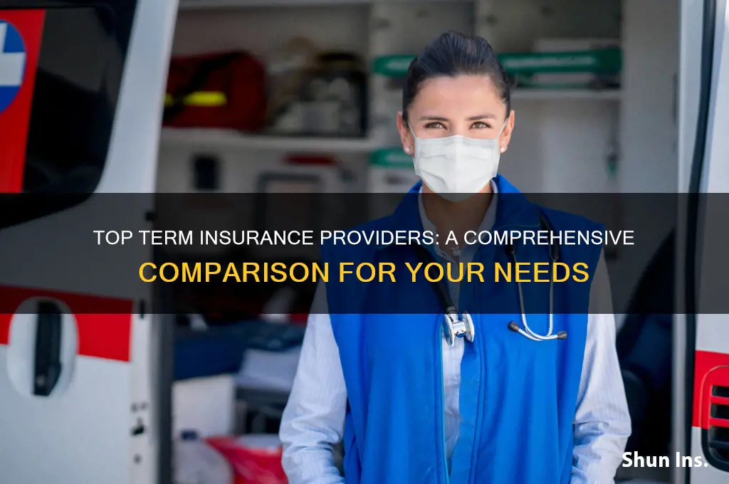 which company is best for term insurance