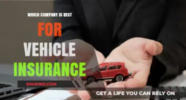 Top Vehicle Insurance Companies: Finding the Best Coverage for You