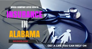 Top Health Insurance Providers in Alabama: Your Comprehensive Guide