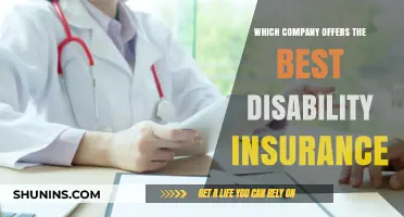 Top Disability Insurance Providers: Which Company Offers the Best Coverage?