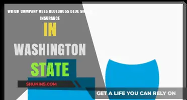 Washington State Companies Offering BlueCross BlueShield Insurance Plans