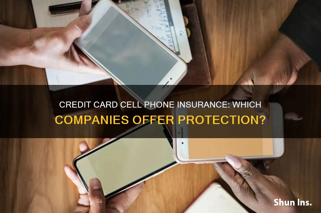 which credit card company
