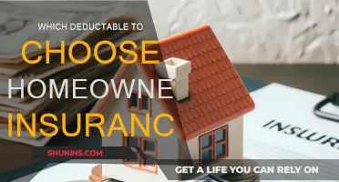Choosing the Right Deductible for Your Homeowner's Insurance
