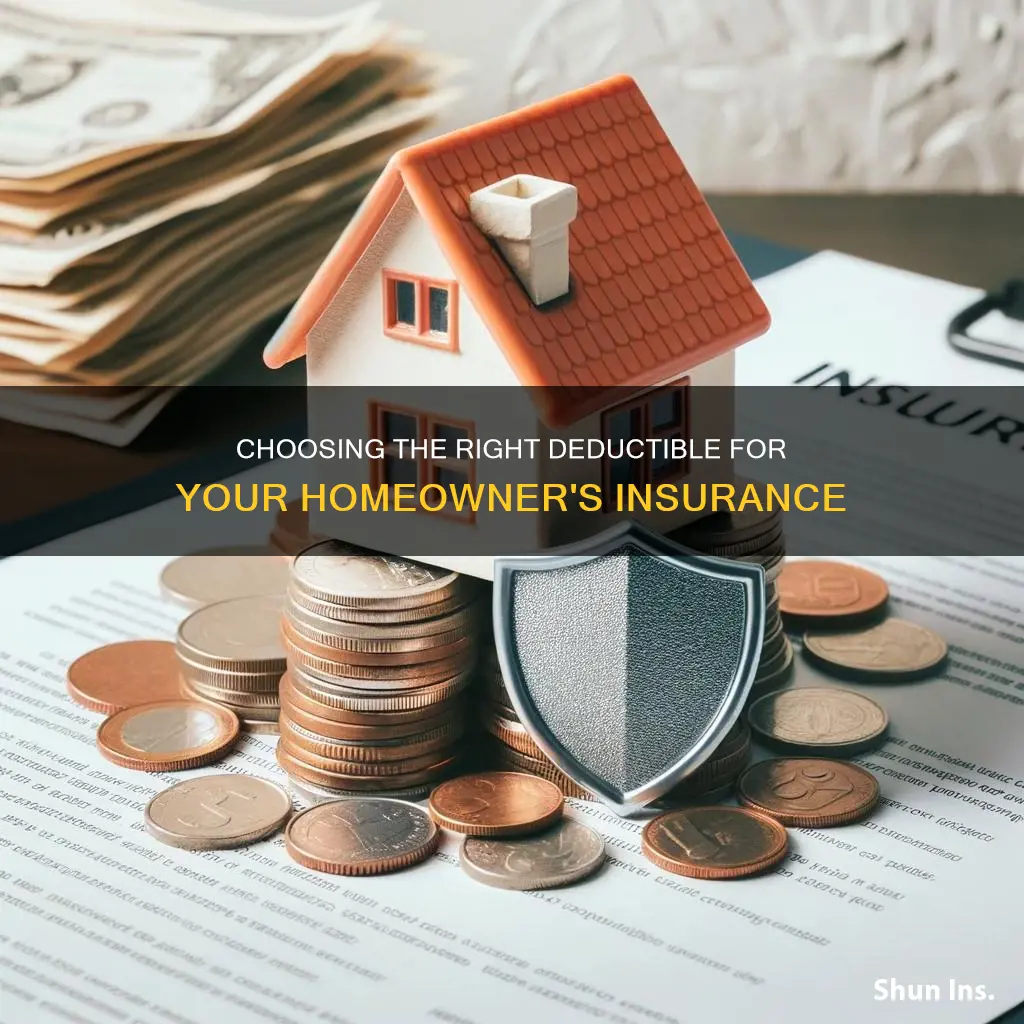 which deductable to choose homeowner