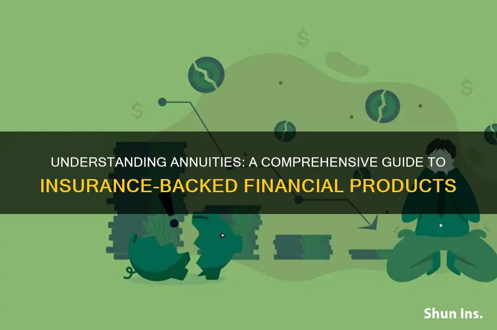 which describe a financial product offered by insurance companies