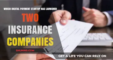 Digital Payment Startup Launches Two Insurance Companies: A Game-Changer?