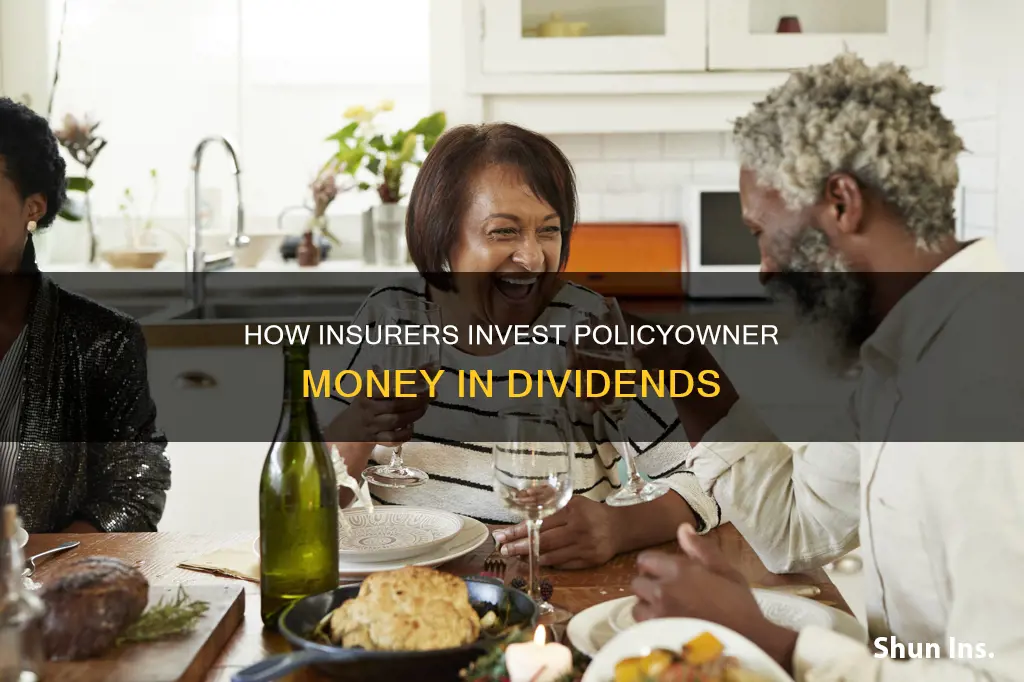 which dividend option would an insurer invest the policyowners money