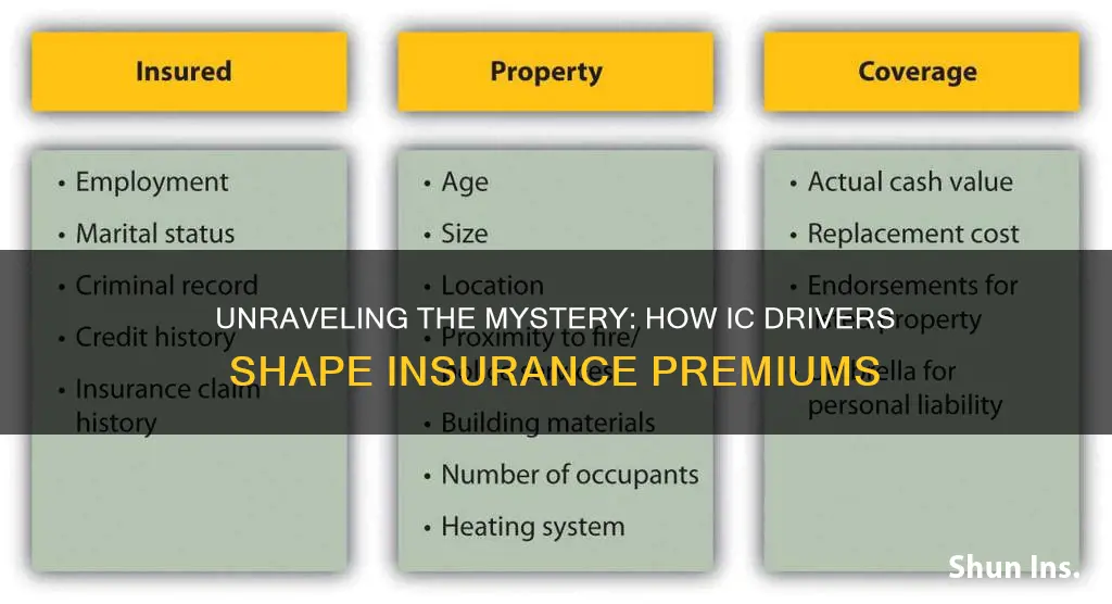 which drives ic insurance pricing differenator