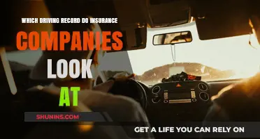 Driving Records and Insurance: What Companies Check Before Setting Rates