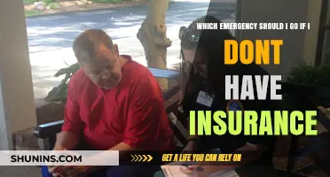 Emergency Rooms: Uninsured and Seeking Treatment