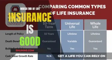 Life Insurance: Choosing the Right End for Your Needs