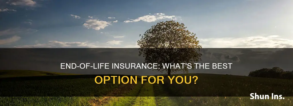 which end of life insurance is good