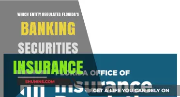 Florida's Financial Regulators: Who Oversees the Sunshine State's Money?