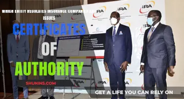 Understanding Insurance Regulation: Who Issues Certificates of Authority?