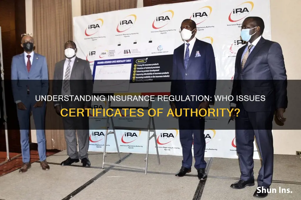 which entity regulates insurance companies and issues certificates of authority