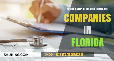Florida's Insurance Oversight: Understanding the Regulatory Authority and Its Role