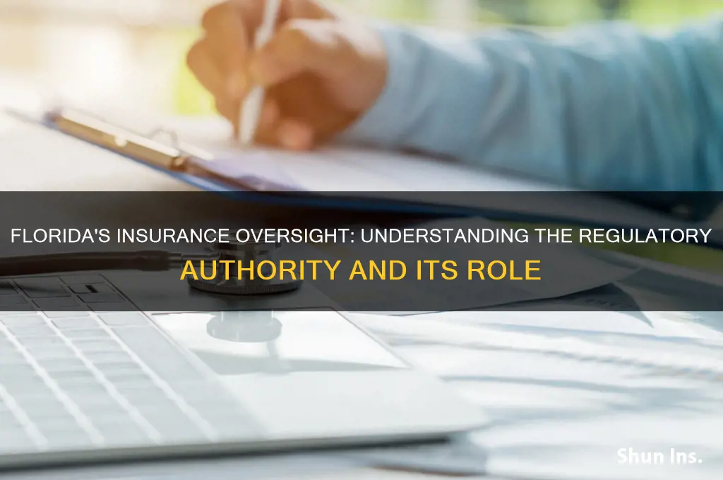 which entity regulates insurance companies in florida