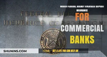 FDIC: The Federal Agency Overseeing Bank Deposits