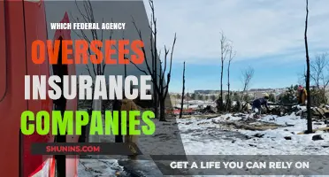 Understanding the Federal Agency Regulating Insurance Companies in the U.S