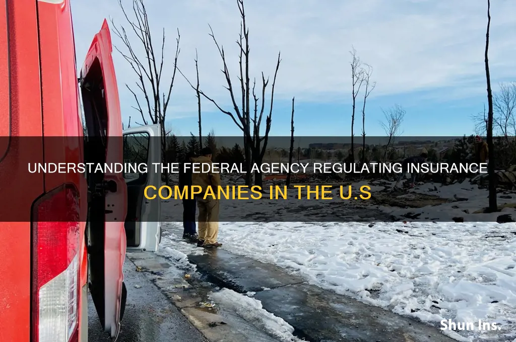 which federal agency oversees insurance companies