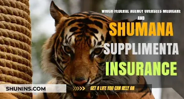 Medicare and Supplemental Insurance: Which Agencies Oversee Them?