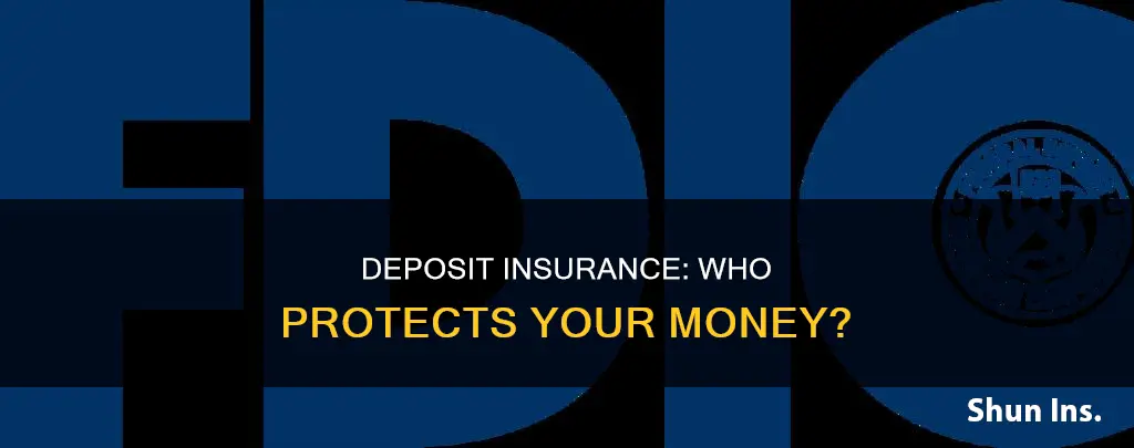 which federal corporation insures your deposits against loss