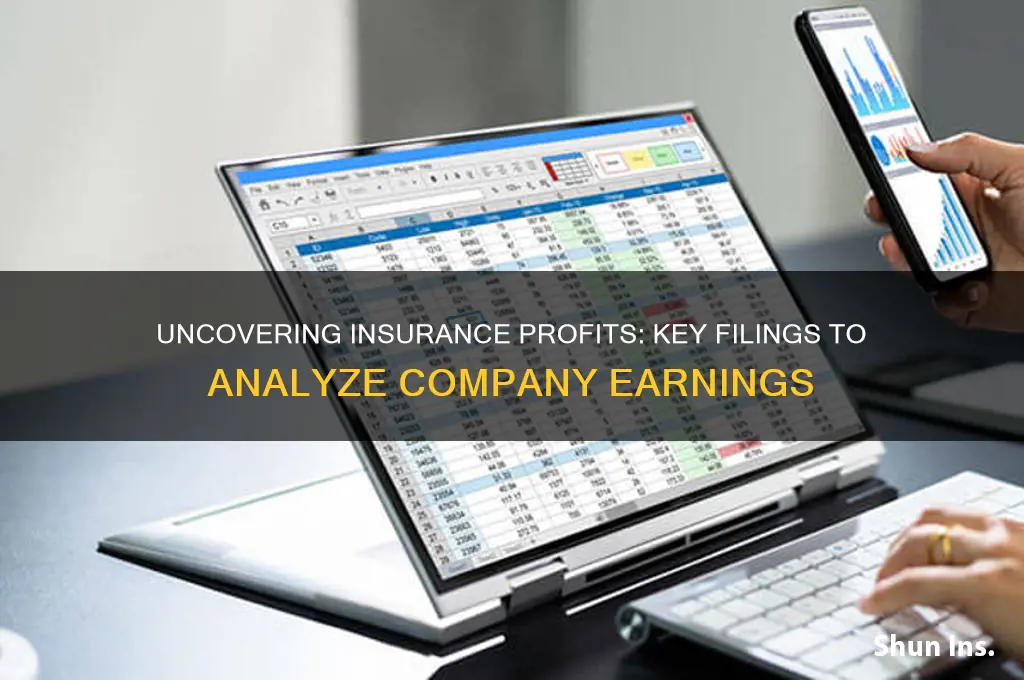 which filing to look at finding insurance companies profit