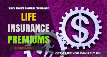 Top Finance Companies Offering Premium Financing for Life Insurance