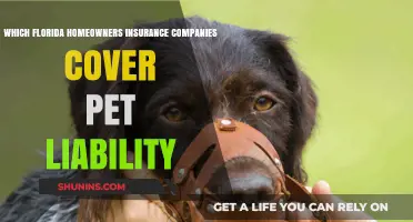 Florida Homeowners Insurance: Which Companies Cover Pet Liability?