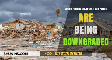Florida Insurance Downgrades: Which Companies Are Losing Their Ratings?