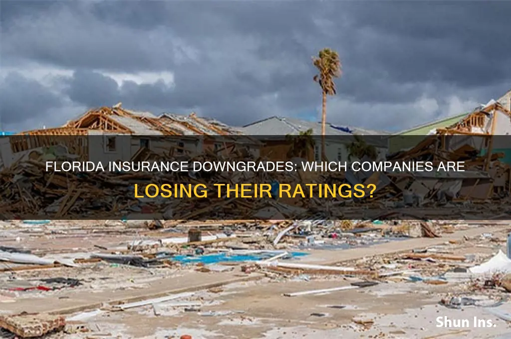 which florida insurance companies are being downgraded