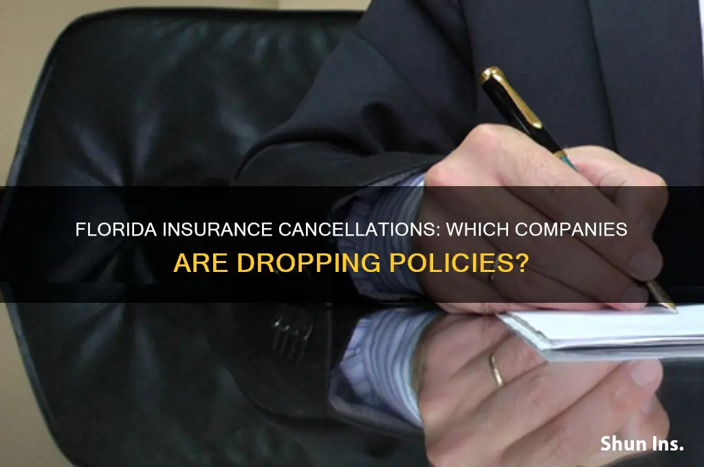 which florida insurance companies are cancelling