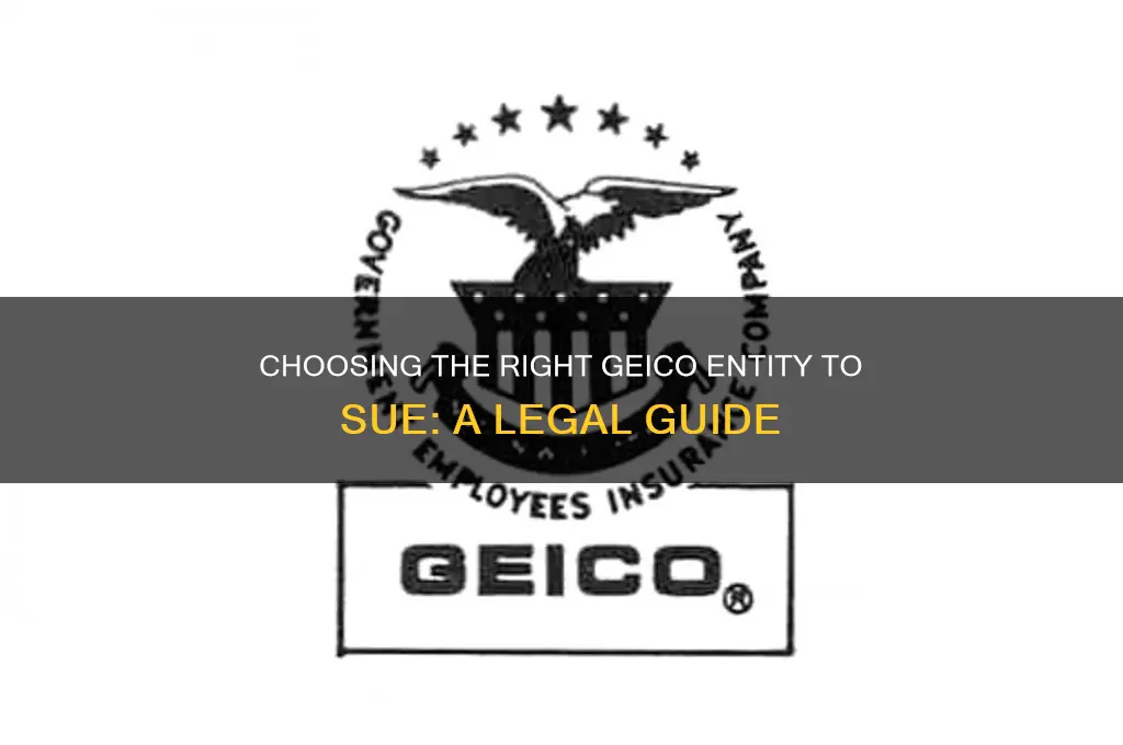 which geico insurance company to sue