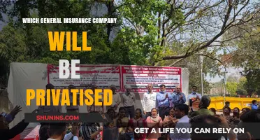 Privatization Alert: Which General Insurance Company is Next in Line?