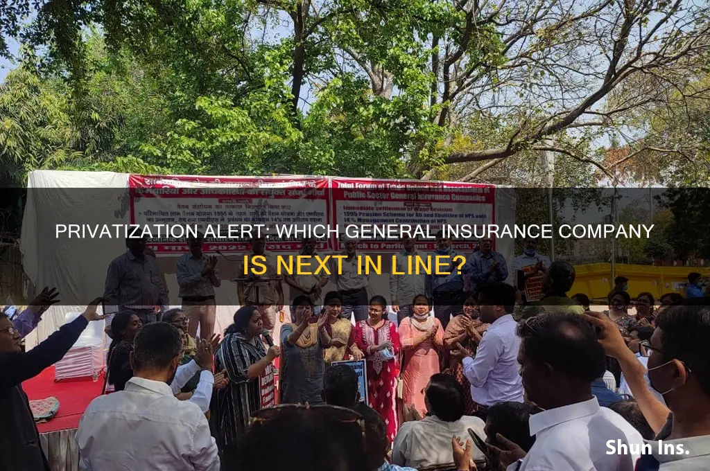 which general insurance company will be privatised