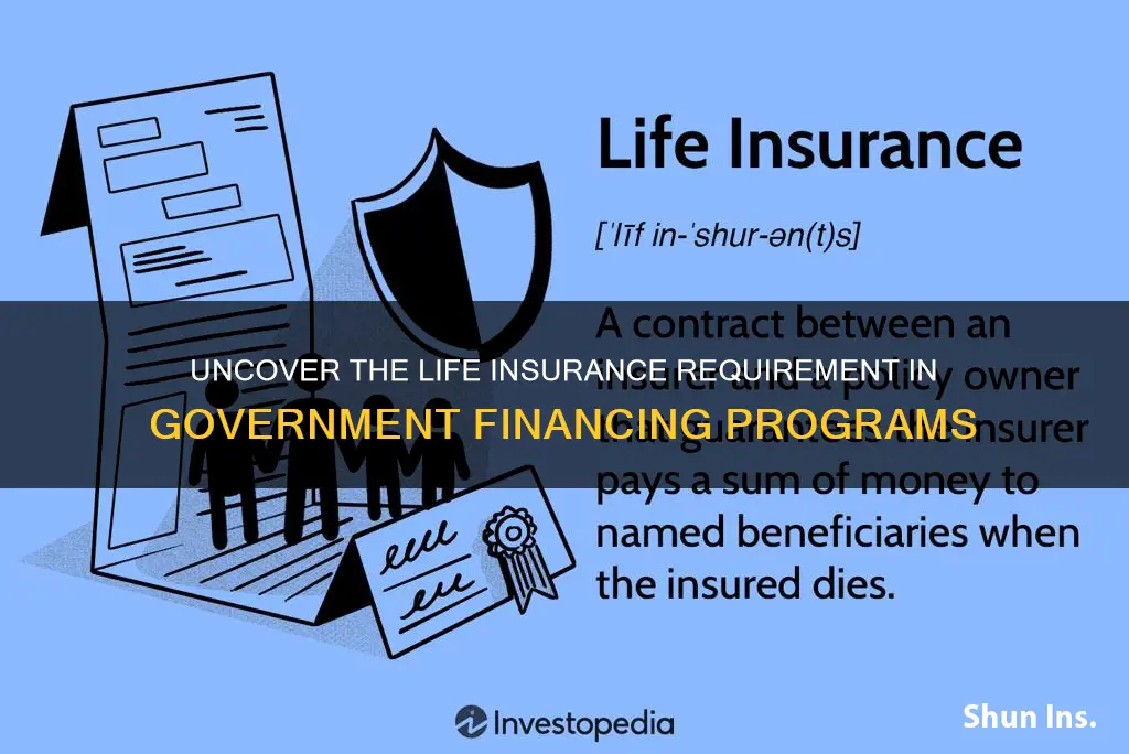 which government financing program requires life insurance