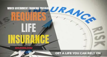 Life Insurance: A Government Financing Program Requirement