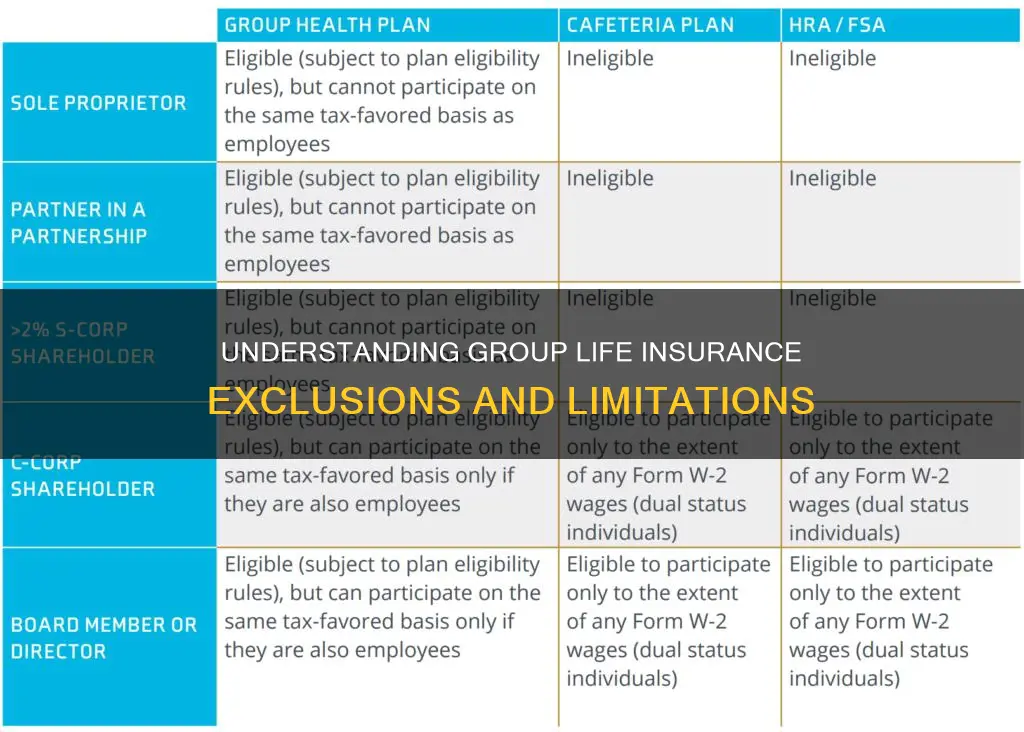which groups are not eligible for group life insurance