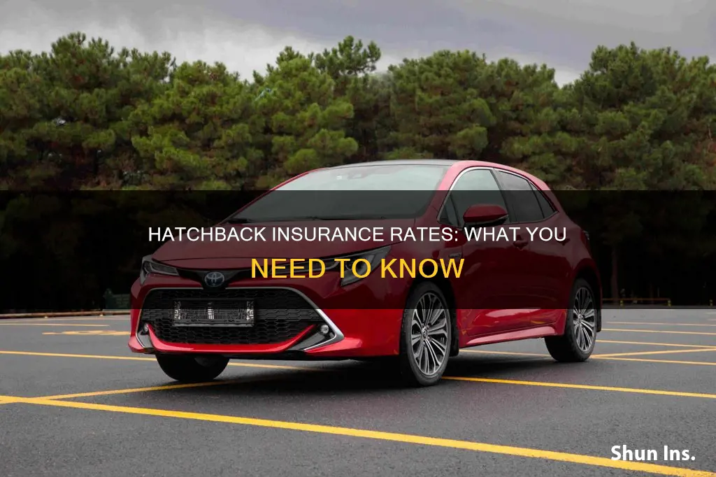 which hatchback has the insurance rates