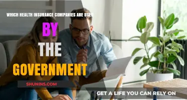 Government-Backed Health Insurance: Top Providers and Coverage Options