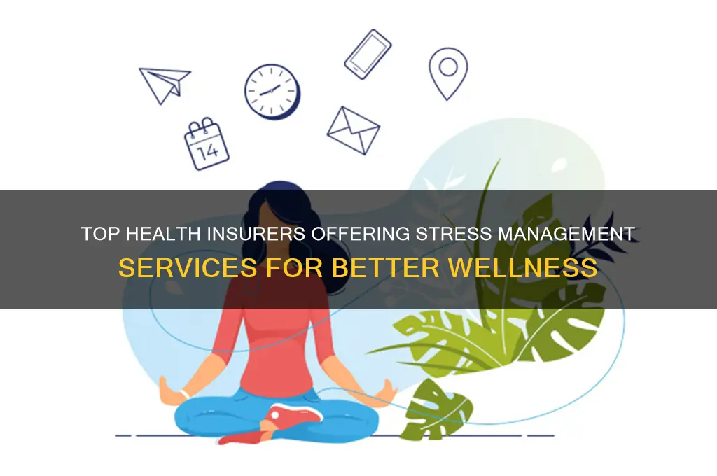 which health insurance companies give stress management services