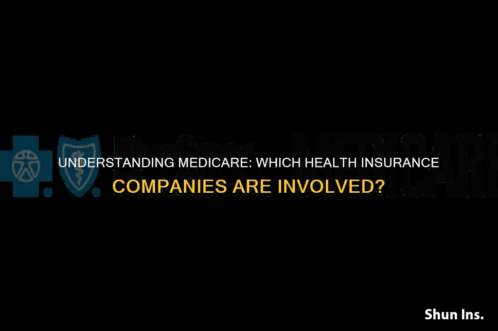 which health insurance company does medicare use