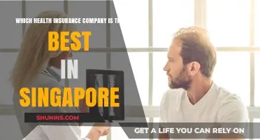 Top Health Insurance Providers in Singapore: A Comprehensive Comparison Guide